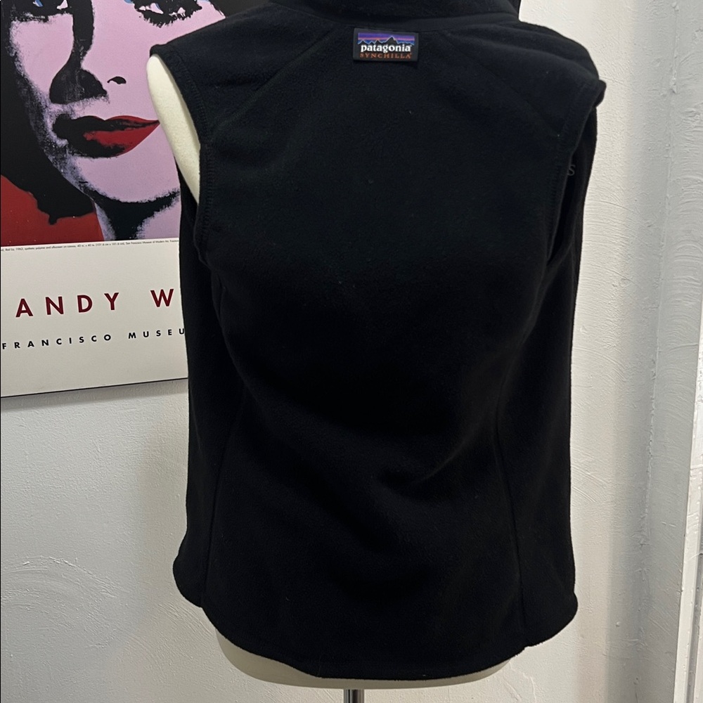 Black Patagonia Synchilla Vest - Picture 9 of 10